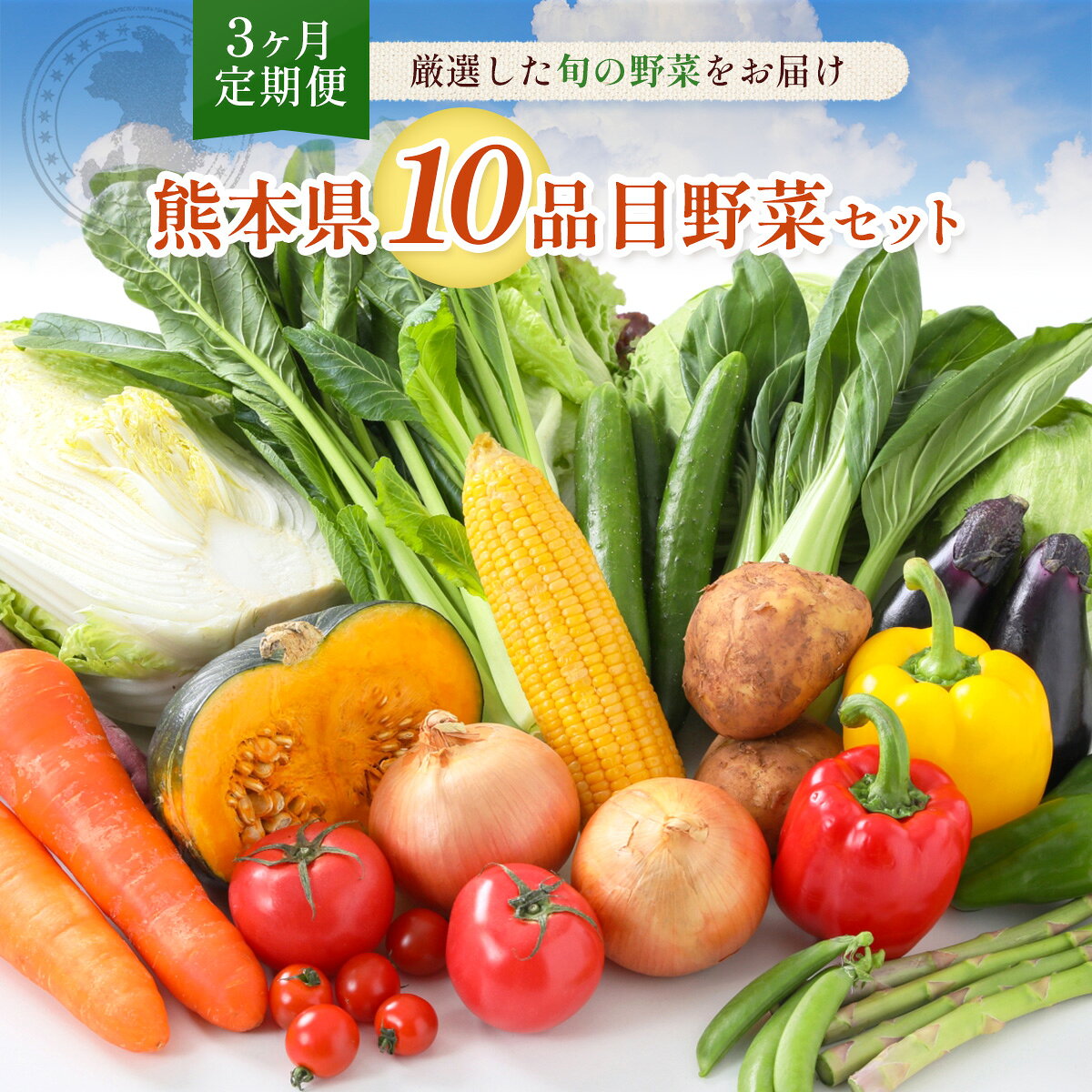 【3か月連続定期便】熊本県10品目野菜セット3ヶ月定期便 新鮮 詰め合わせ 野菜 お野菜 季節 冷蔵 旬 四季 セット 厳選 定期 定期便 3ヶ月 九州 熊本県 送料無料
