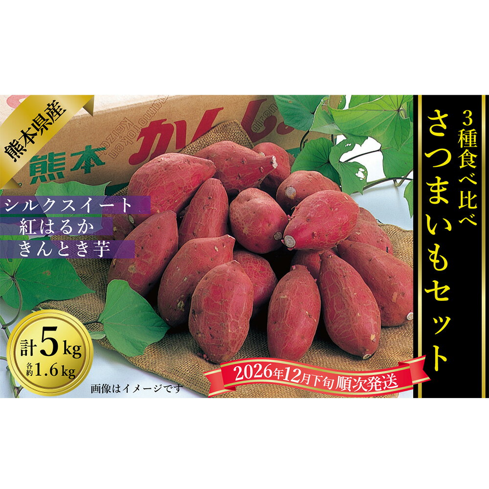 さつまいも食べ比べ（シルクスイート/紅はるか/金時） 合計：約5kg 3種セット さつまいも サツマイモ さつま芋 野菜 やさい スイーツ 天ぷら 煮物 家庭用 贈答 贈り物 ギフト 熊本県産 国産 九州 熊本県 送料無料 【2026年12月下旬発送開始】