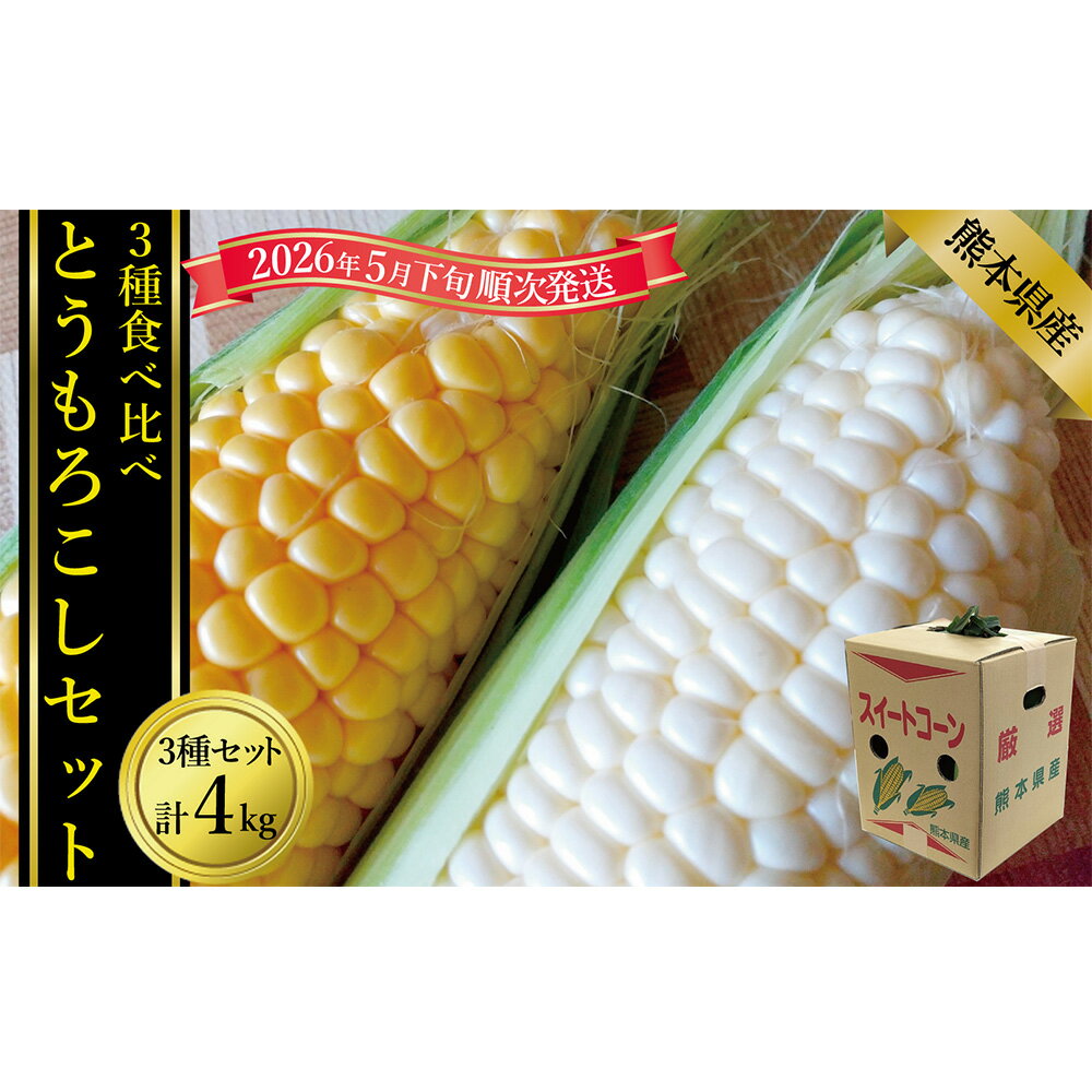 とうもろこし3種食べ比べ（スイートコーン/ゴールドラッシュ/ピュアホワイト等） 合計：約4kg セット とうもろこし トウモロコシ 野菜 やさい サラダ スープ ゆで 蒸し 焼き 冷蔵 家庭用 贈答 ギフト 国産 九州 熊本県産 送料無料 【2026年5月下旬発送開始】
