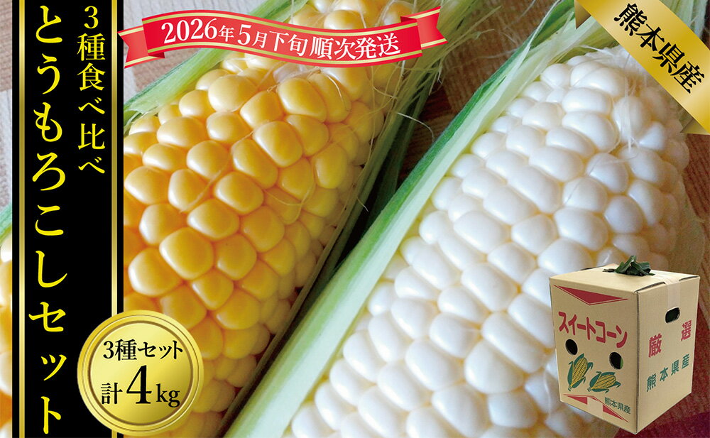 【ふるさと納税】とうもろこし3種食べ比べ（スイートコーン/ゴールドラッシュ/ピュアホワイト等） 合計：約4kg セット とうもろこし トウモロコシ 野菜 やさい サラダ スープ ゆで 蒸し 焼き 冷蔵 家庭用 贈答 ギフト 国産 九州 熊本県産 送料無料 【2026年5月下旬発送開始】 - 画像2