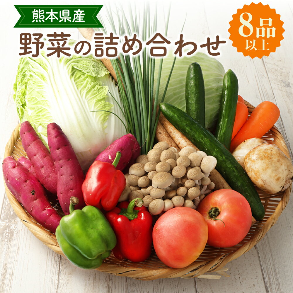 熊本県産野菜の詰め合わせ 野菜8品以上 詰め合わせ 詰合せ セット やさい 季節の野菜 旬野菜 野菜 九州 熊本県 送料無料