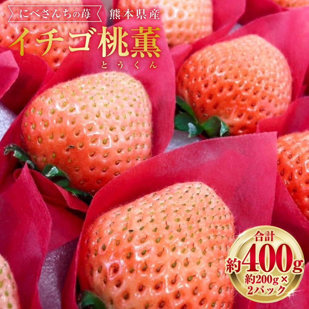 にべさんちの苺 熊本県産 イチゴ 桃薫(とうくん) 約400g 約200g(6～9玉)×2パック いちご 苺 果物 果実 フルーツ くだもの ギフト 贈り物 冷蔵 九州 熊本県 送料無料 【2026年1月下旬発送開始】