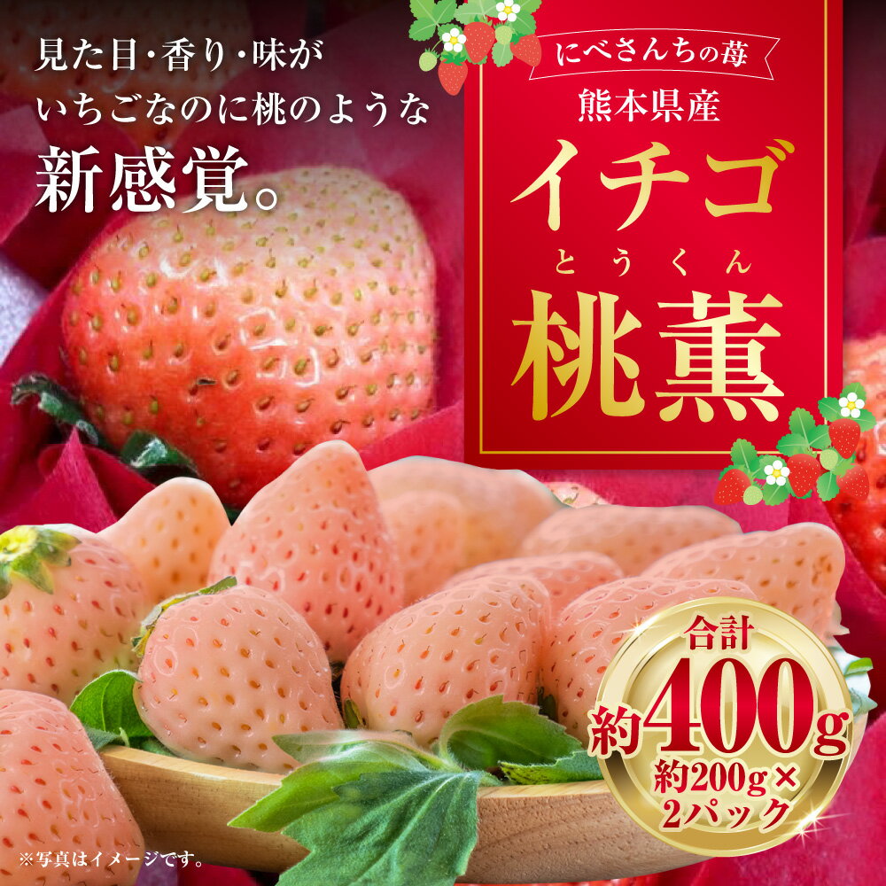 【ふるさと納税】にべさんちの苺 熊本県産 イチゴ 桃薫(とうくん) 約400g 約200g(6～9玉)×2パック いちご 苺 果物 果実 フルーツ くだもの ギフト 贈り物 冷蔵 九州 熊本県 送料無料 【2026年1月下旬発送開始】 サムネイル2