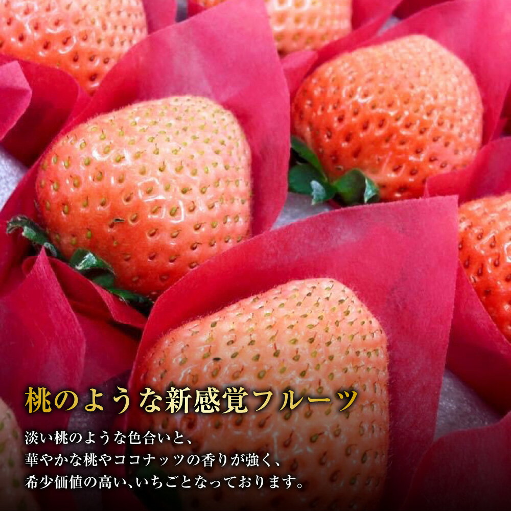 【ふるさと納税】にべさんちの苺 熊本県産 イチゴ 桃薫(とうくん) 約400g 約200g(6～9玉)×2パック いちご 苺 果物 果実 フルーツ くだもの ギフト 贈り物 冷蔵 九州 熊本県 送料無料 【2026年1月下旬発送開始】 サムネイル3