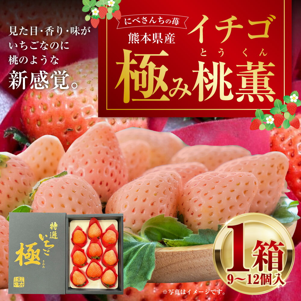 【ふるさと納税】にべさんちの苺 熊本県産 イチゴ 極み 桃薫(とうくん) 1箱(9～12個) 苺 いちご 果物 果実 フルーツ くだもの 冷蔵 九州 熊本県 送料無料 【2026年1月下旬発送開始】 サムネイル2