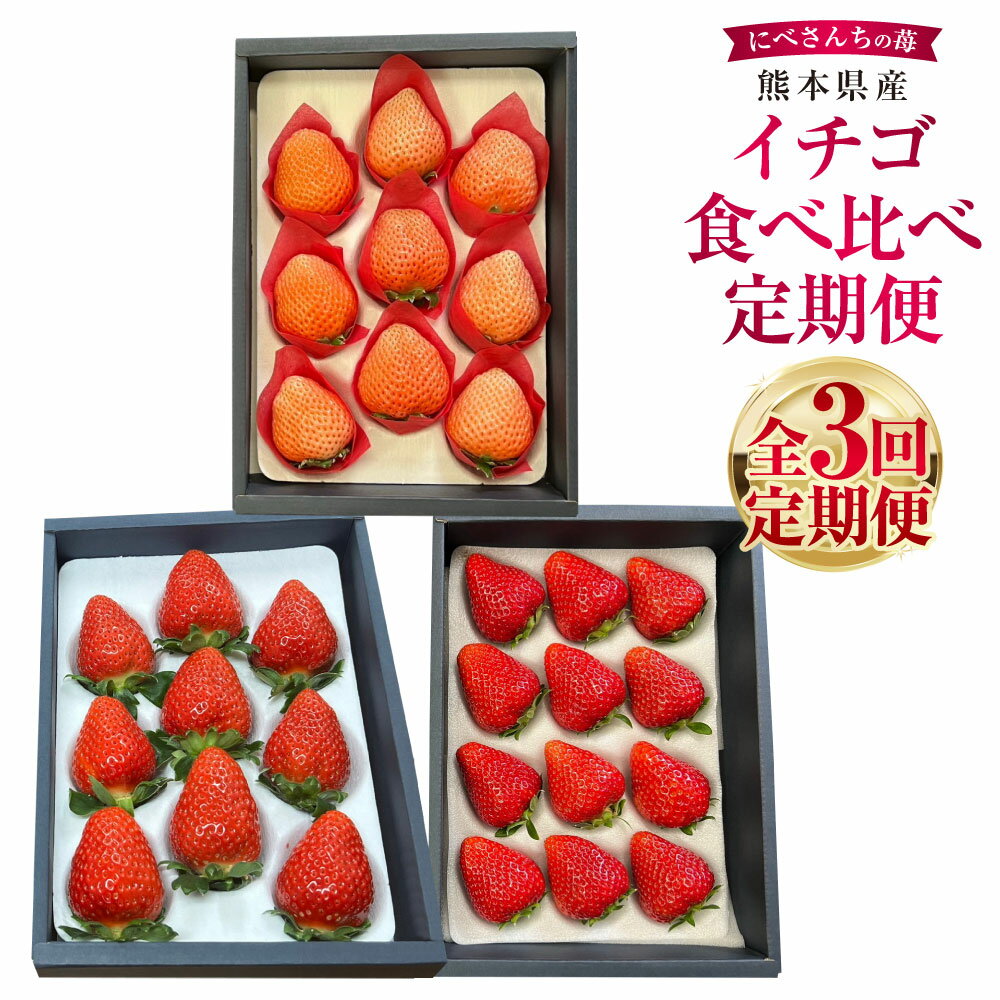 【3か月連続定期便】にべさんちの苺 熊本県産 イチゴ 食べ比べ 定期便 かおり野 桃薫 空音 全3回 3ヶ月 定期配送 果物 くだもの 果実 フルーツ 冷蔵 九州 熊本県 送料無料 【2026年1月下旬発送開始】