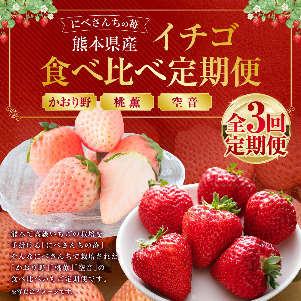【ふるさと納税】【3か月連続定期便】にべさんちの苺 熊本県産 イチゴ 食べ比べ 定期便 かおり野 桃薫 空音 全3回 3ヶ月 定期配送 果物 くだもの 果実 フルーツ 冷蔵 九州 熊本県 送料無料 【2026年1月下旬発送開始】 サムネイル2