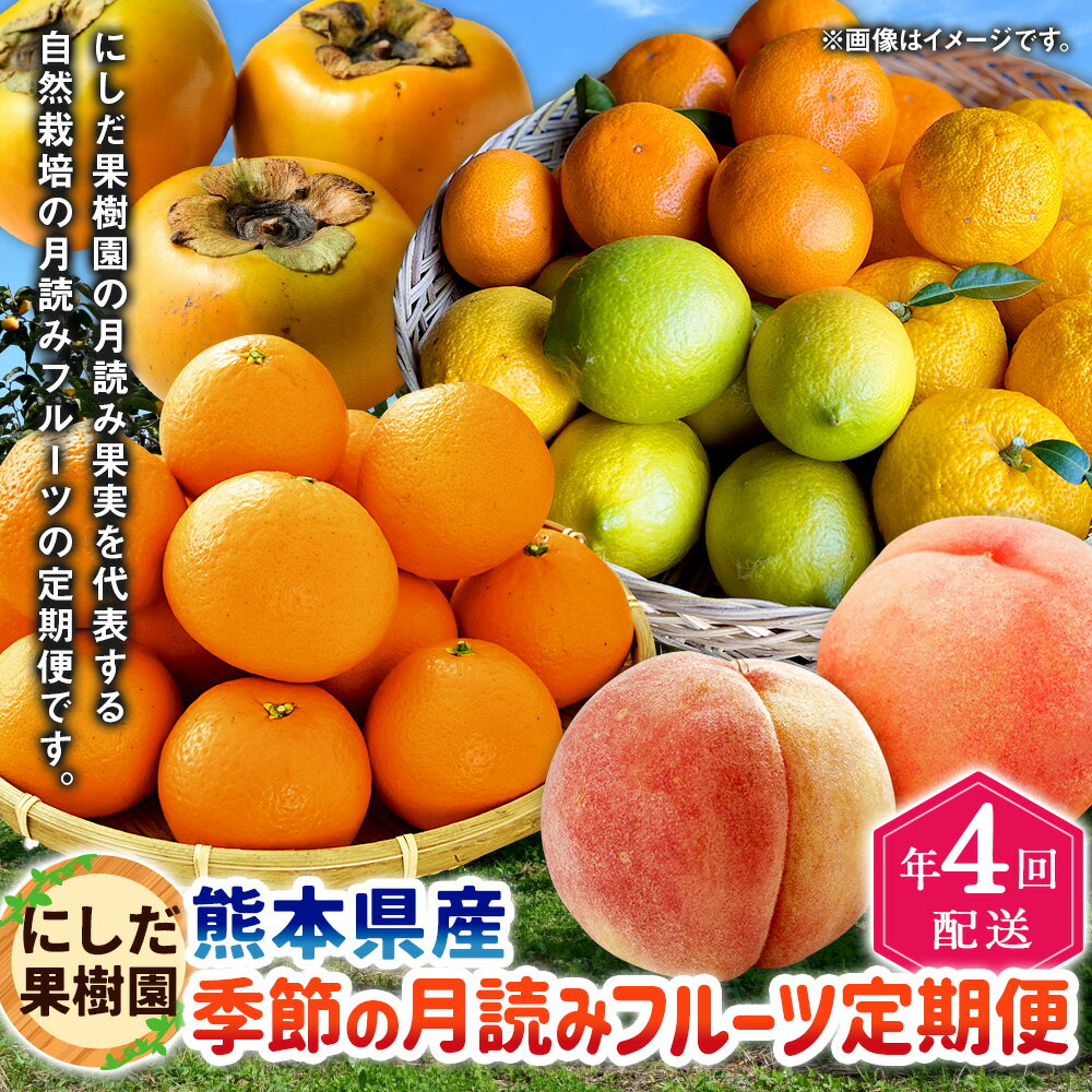 【ふるさと納税】【年4回定期便】にしだ果樹園の熊本県産 季節の月読み フルーツ 定期便 全4回 定期配送 フルーツ くだもの 果物 果実 みかん 密柑 カボス 柚子 レモン 柑橘 ホワイトピーチ 太秋柿 九州 熊本県 送料無料 サムネイル2