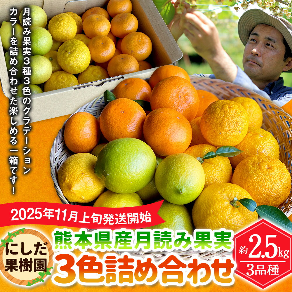 【ふるさと納税】にしだ果樹園の熊本県産 月読み果実 3色 詰め合わせ 3品種 約2.5kg 詰合せ 3種 セット みかん 柑橘 密柑 レモン 柚子 フルーツ 果物 くだもの 化粧箱 常温 にしだ果樹園 九州 熊本県 送料無料 【2025年11月上旬発送開始】 サムネイル2
