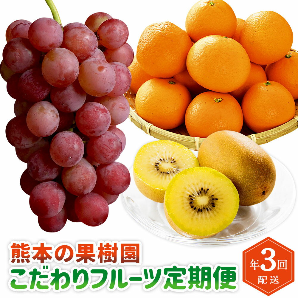 【年3回定期便】熊本の果樹園 こだわり フルーツ 定期便 全3回 定期配送 密柑 柑橘 ぶどう 葡萄 紅瑞宝 キウイ ゴールドキウイ キウイフルーツ フルーツ くだもの 果物 果実 九州 熊本県 送料無料