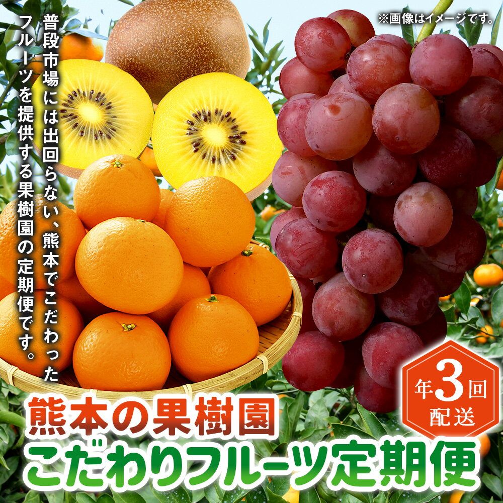 【ふるさと納税】【年3回定期便】熊本の果樹園 こだわり フルーツ 定期便 全3回 定期配送 密柑 柑橘 ぶどう 葡萄 紅瑞宝 キウイ ゴールドキウイ キウイフルーツ フルーツ くだもの 果物 果実 九州 熊本県 送料無料 サムネイル2