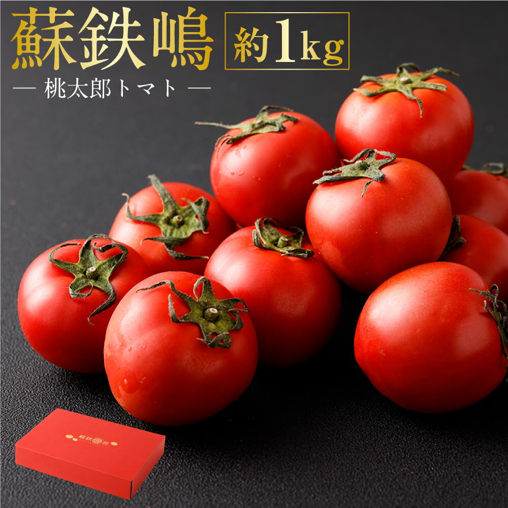 蘇鉄嶋（桃太郎トマト） 約1kg 【2026年5月上旬発送開始】 トマト 潮トマト とまと 野菜 熊本県産 高糖度 九州 熊本県 送料無料