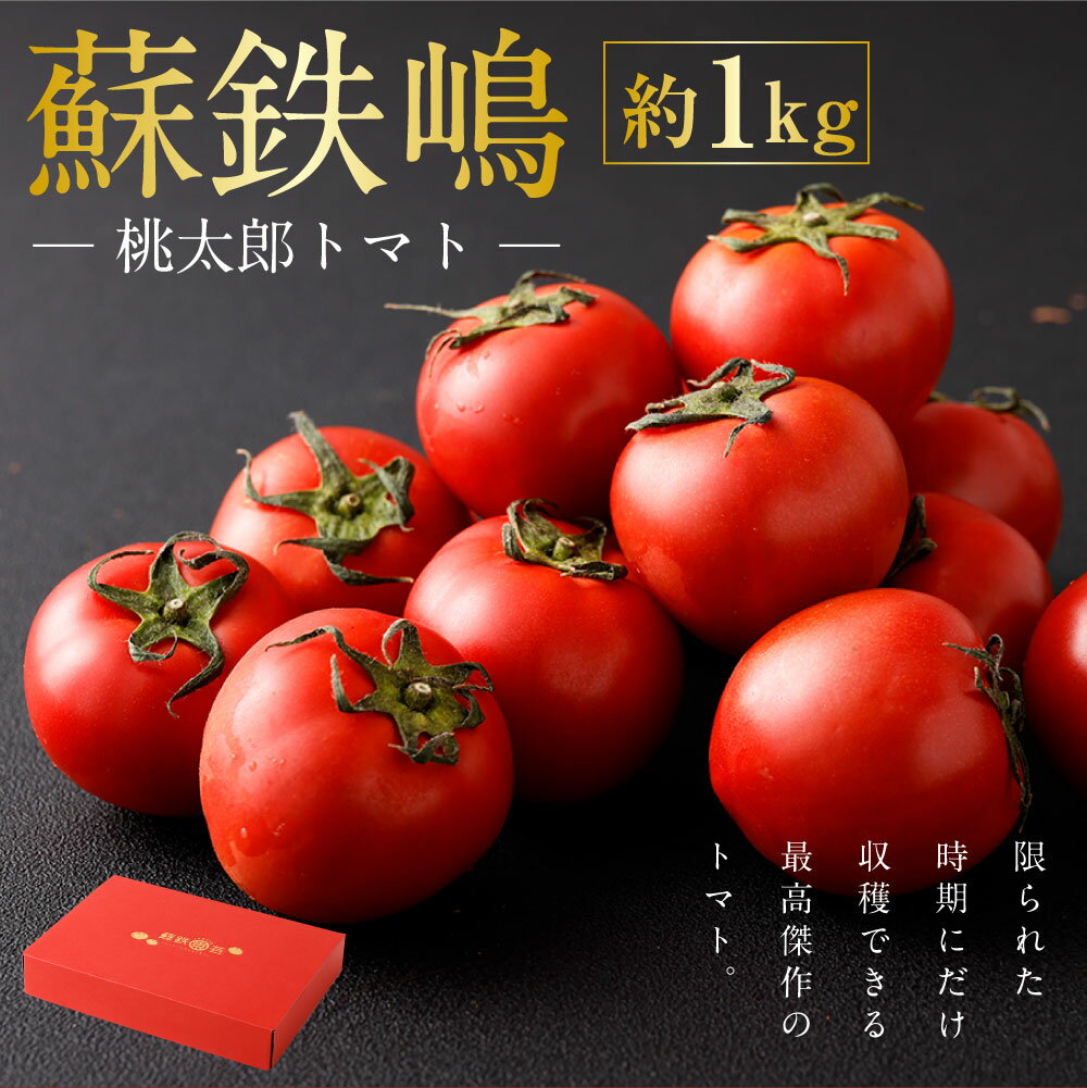 【ふるさと納税】蘇鉄嶋（桃太郎トマト） 約1kg 【2026年5月上旬発送開始】 トマト 潮トマト とまと 野菜 熊本県産 高糖度 九州 熊本県 送料無料 - 画像2