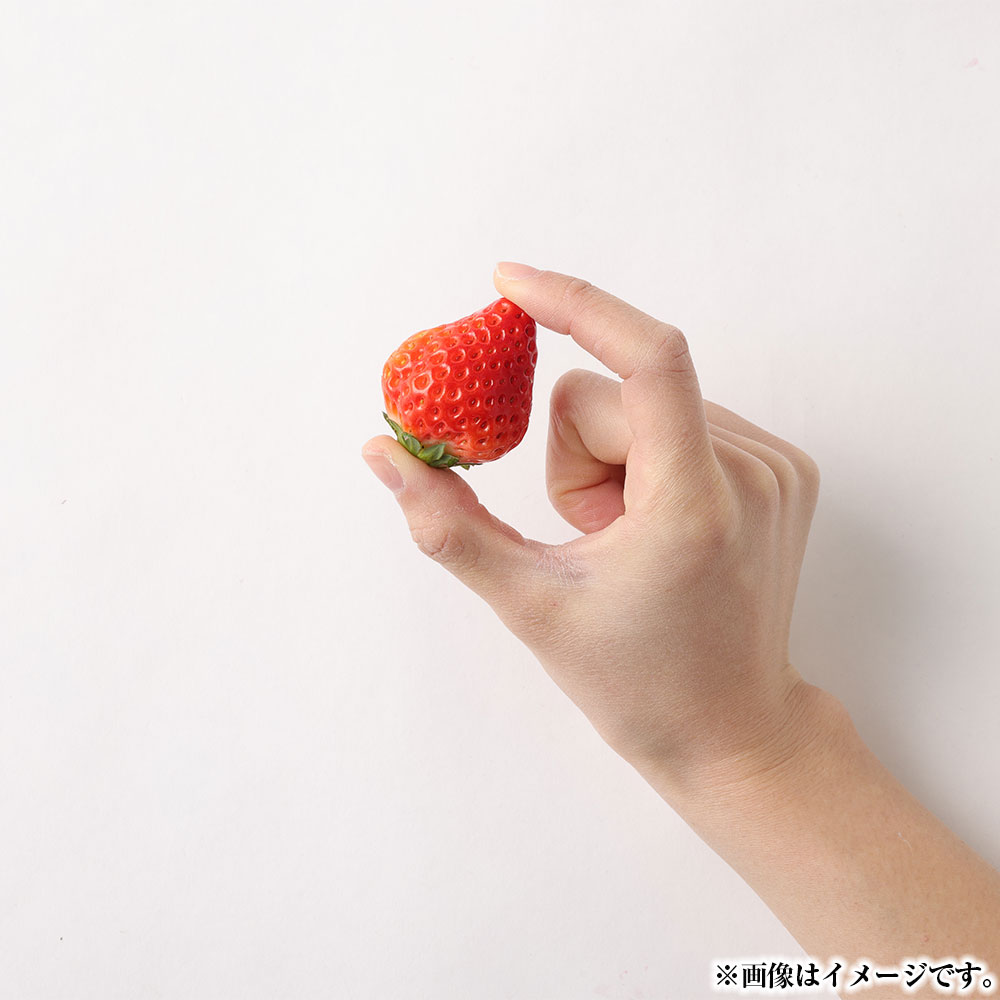 【ふるさと納税】熊本県宇城市産 イチゴ 4パック 恋みのり 約1kg 250g×4パック フルーツ 果物 くだもの 果実 いちご 苺 九州 熊本県 送料無料 【2026年2月上旬発送開始】 サムネイル3