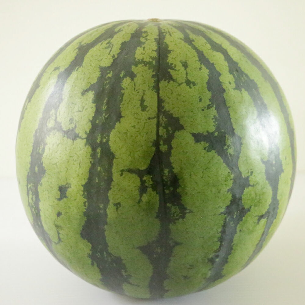 【ふるさと納税】熊本産 スイカ L玉 6～7キロ 1玉 西瓜 フルーツ 果物 果実 名産品 九州 熊本県産 熊本県 送料無料 【2026年5月下旬発送開始】 サムネイル3