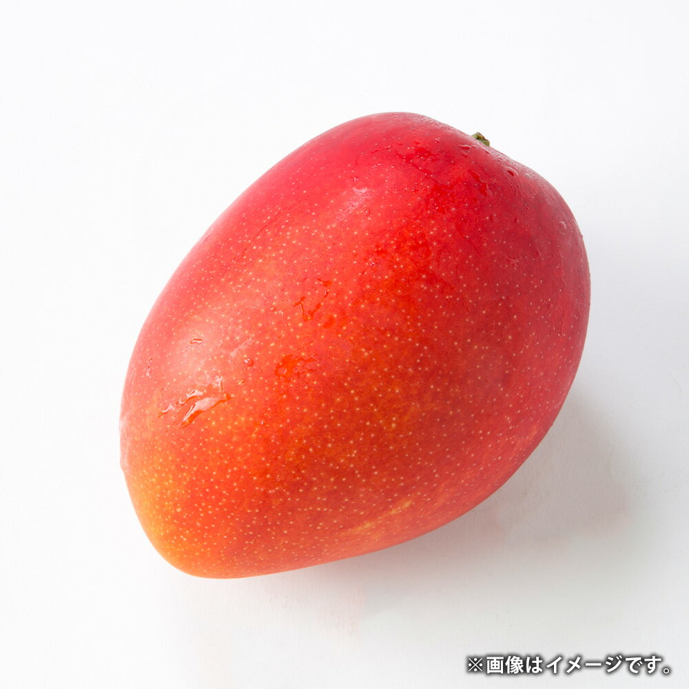 【ふるさと納税】熊本県産 マンゴー 4玉 合計約2kg 果物 くだもの 果実 フルーツ 旬 お取り寄せ ギフト 国産 九州 熊本県 水俣 冷蔵配送 送料無料【2026年5月下旬発送開始】 サムネイル2