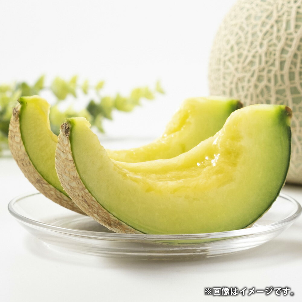 熊本県産 肥後グリーンメロン 4玉 合計約4kg メロン 高糖度 果物 くだもの 果実 フルーツ 旬 お取り寄せ ギフト 国産 九州 熊本県 八代 常温 送料無料 【2026年6月上旬発送開始】