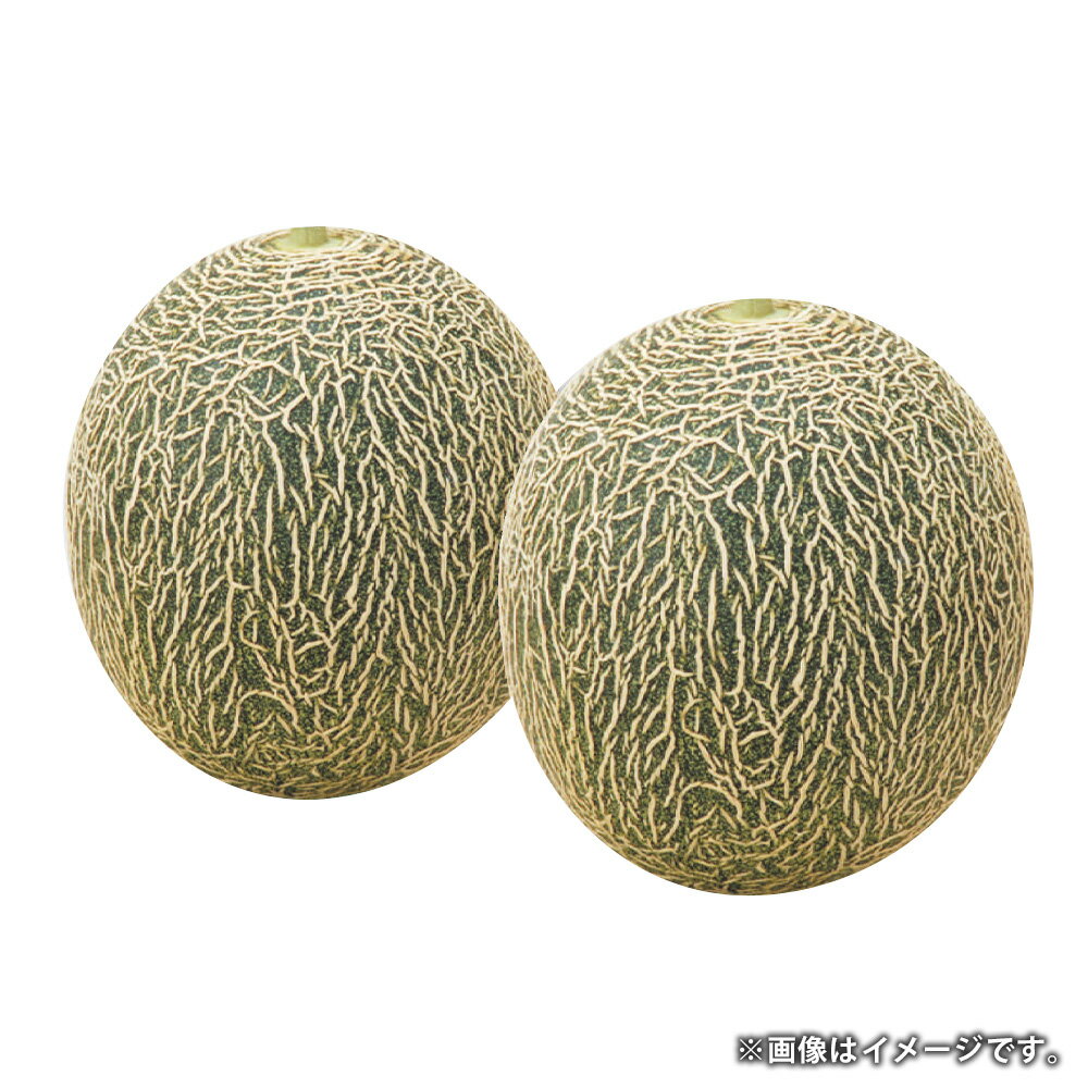 【ふるさと納税】熊本県産 肥後グリーンメロン 4玉 合計約4kg メロン 高糖度 果物 くだもの 果実 フルーツ 旬 お取り寄せ ギフト 国産 九州 熊本県 八代 常温 送料無料 【2026年6月上旬発送開始】 サムネイル2