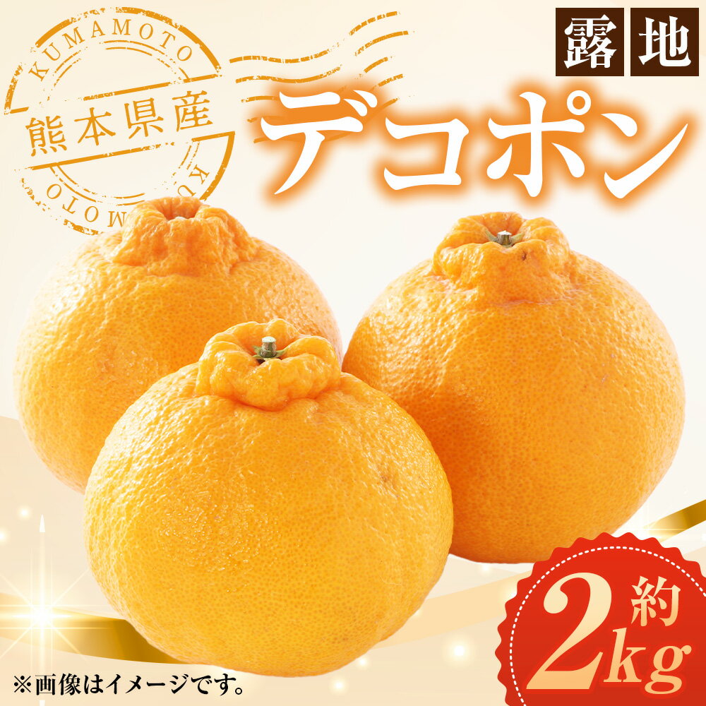 【ふるさと納税】熊本県産 デコポン 露地栽培 約2kg 約7～8玉 柑橘 みかん ミカン 蜜柑 でこぽん 果物 くだもの 果実 フルーツ 旬 お取り寄せ ギフト 国産 九州 熊本県 芦北 常温 送料無料 【2026年3月上旬発送開始】 サムネイル2