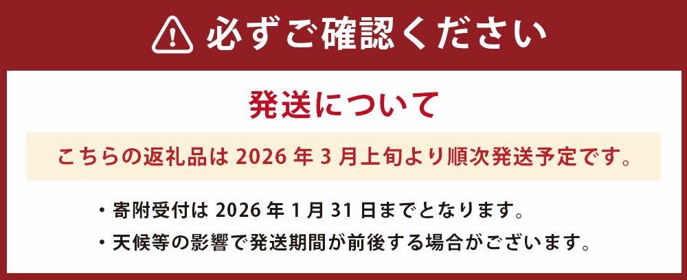【ふるさと納税】熊本県産 デコポン 露地栽培 約2kg 約7～8玉 柑橘 みかん ミカン 蜜柑 でこぽん 果物 くだもの 果実 フルーツ 旬 お取り寄せ ギフト 国産 九州 熊本県 芦北 常温 送料無料 【2026年3月上旬発送開始】 サムネイル3