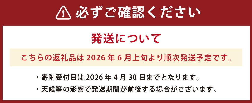 【ふるさと納税】熊本県産 肥後グリーンメロン 4玉 合計約4kg メロン 高糖度 果物 くだもの 果実 フルーツ 旬 お取り寄せ ギフト 国産 九州 熊本県 八代 常温 送料無料 【2026年6月上旬発送開始】 サムネイル3