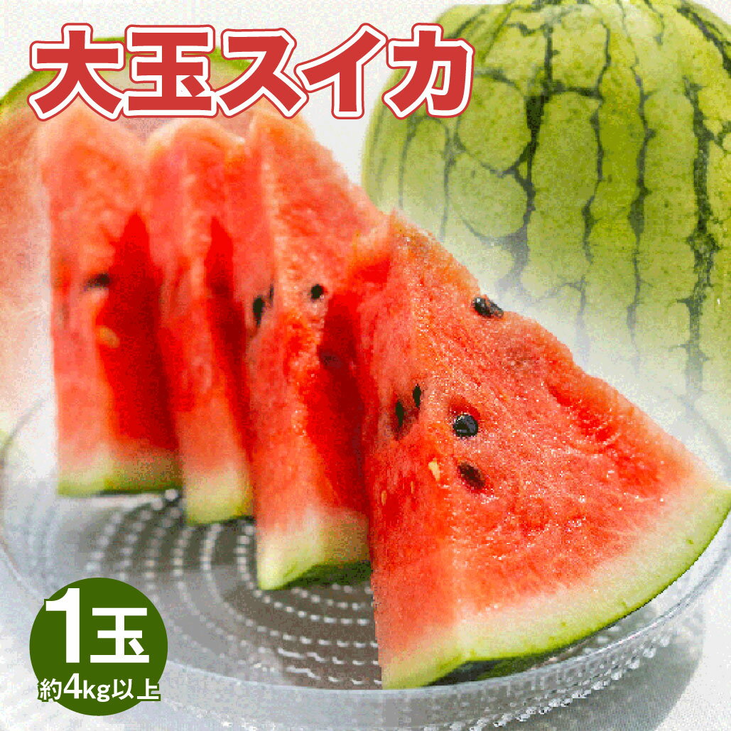 大玉スイカ 1玉 4kg以上 スイカ 西瓜 フルーツ 果物 くだもの 果実 おやつ 植木町 熊本県 国産 常温 送料無料 【2026年5月上旬～6月上旬迄発送予定】