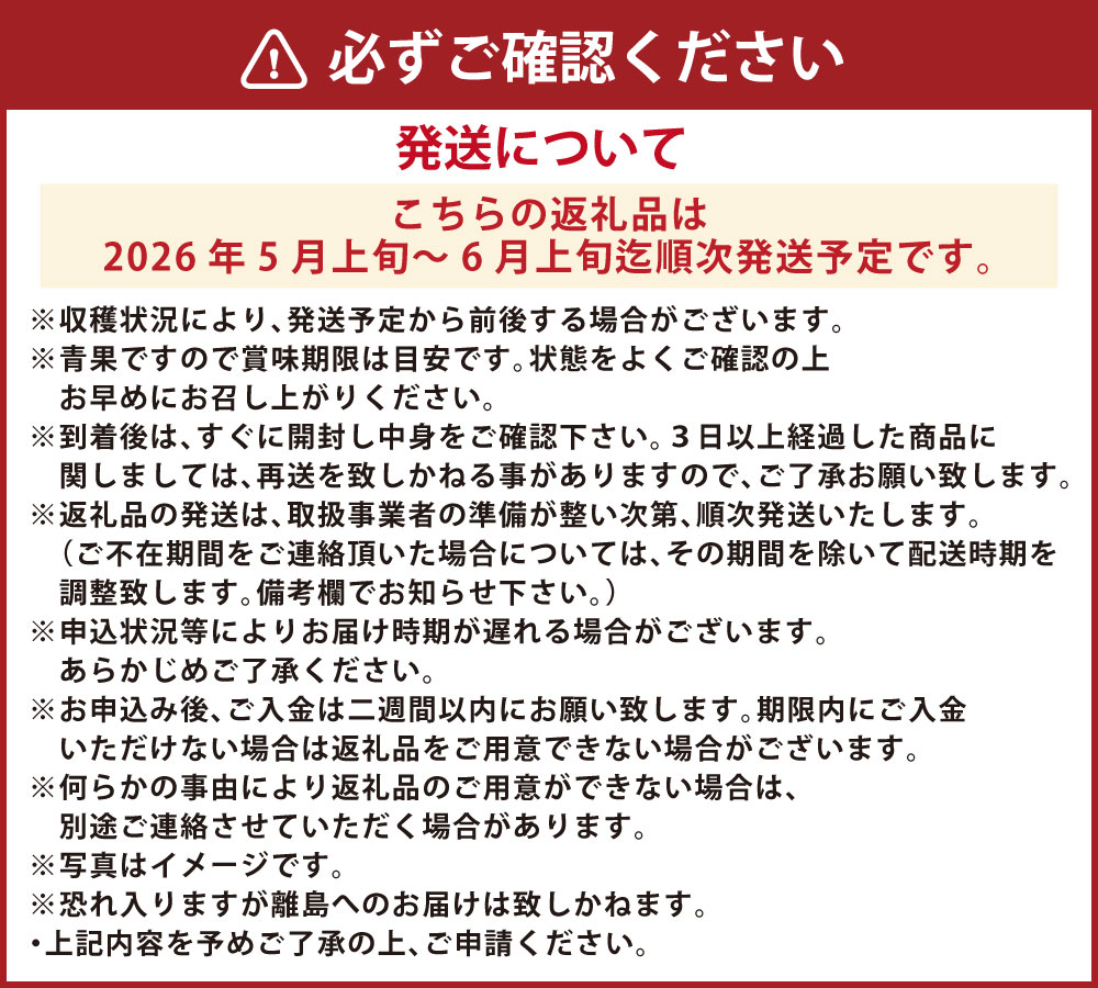 【ふるさと納税】 大玉スイカ 1玉 4kg以上 スイカ 西瓜 フルーツ 果物 くだもの 果実 おやつ 植木町 熊本県 国産 常温 送料無料 【2026年5月上旬～6月上旬迄発送予定】 サムネイル3