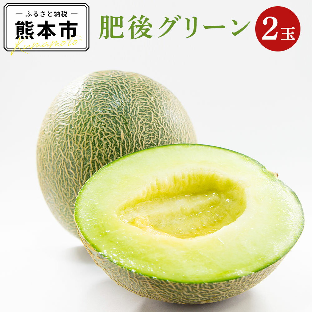 肥後グリーン メロン 2玉 合計3.2kg以上 3Lサイズ以上 大玉 1玉あたり1.6kg以上 くだもの 果物 フルーツ 先行予約 熊本市産 熊本県産 九州産 国産 送料無料 【2026年5月上旬～7月上旬迄順次発送予定】