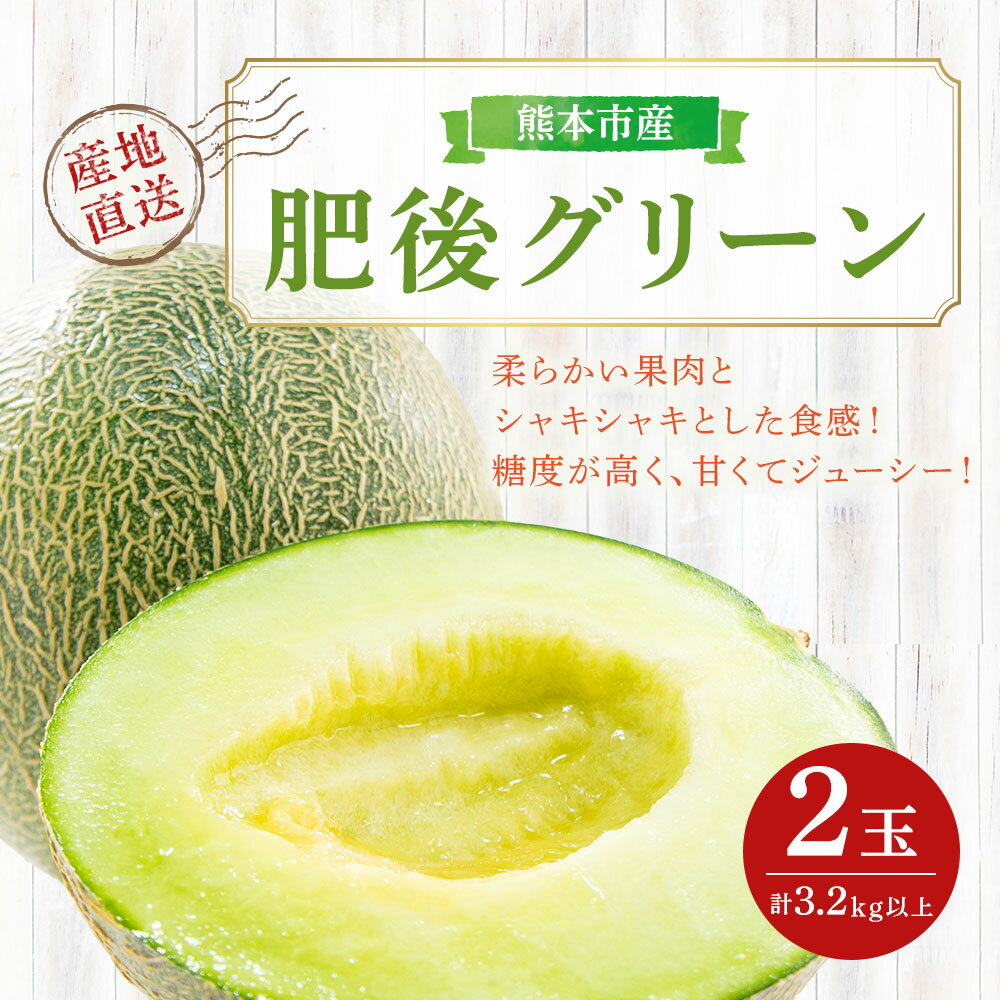【ふるさと納税】 肥後グリーン メロン 2玉 合計3.2kg以上 3Lサイズ以上 大玉 1玉あたり1.6kg以上 くだもの 果物 フルーツ 先行予約 熊本市産 熊本県産 九州産 国産 送料無料 【2026年5月上旬～7月上旬迄順次発送予定】 サムネイル2