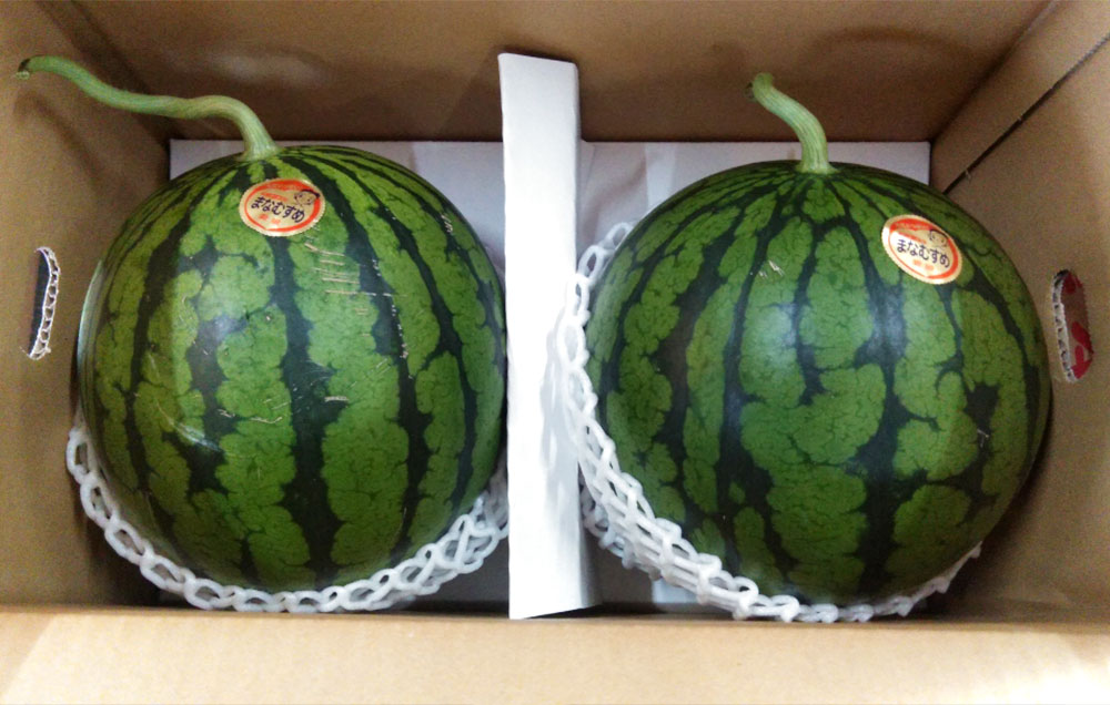 【ふるさと納税】 小玉 西瓜 2玉 合計3kg以上 1玉あたり1.5kg以上 すいか スイカ くだもの 果物 フルーツ 先行予約 熊本市産 熊本県産 九州産 国産 送料無料 【2026年4月下旬～7月上旬迄順次発送予定】 サムネイル3