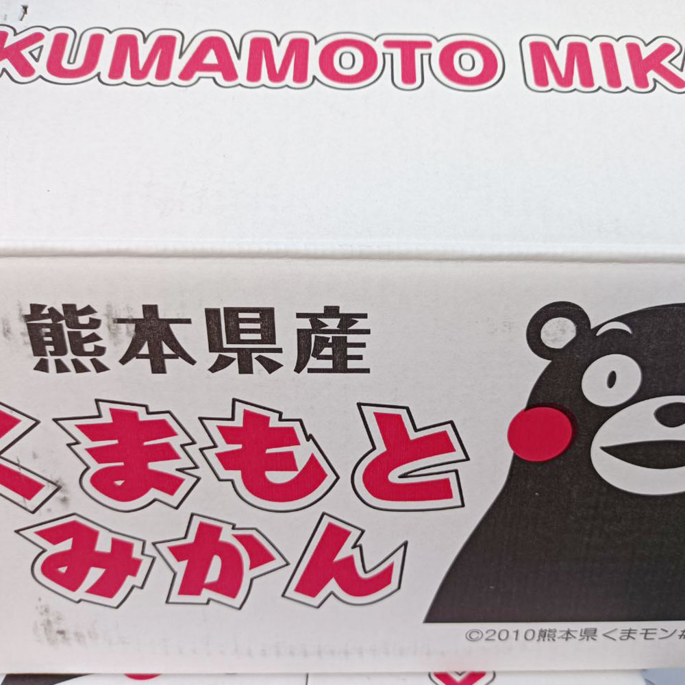 【ふるさと納税】 熊本市産 みかん 10kg サイズ2L～2S 蜜柑 ミカン フルーツ 果物 柑橘 熊本産 九州産 送料無料【2025年10月下旬~2026年2月下旬迄発送予定】 サムネイル3