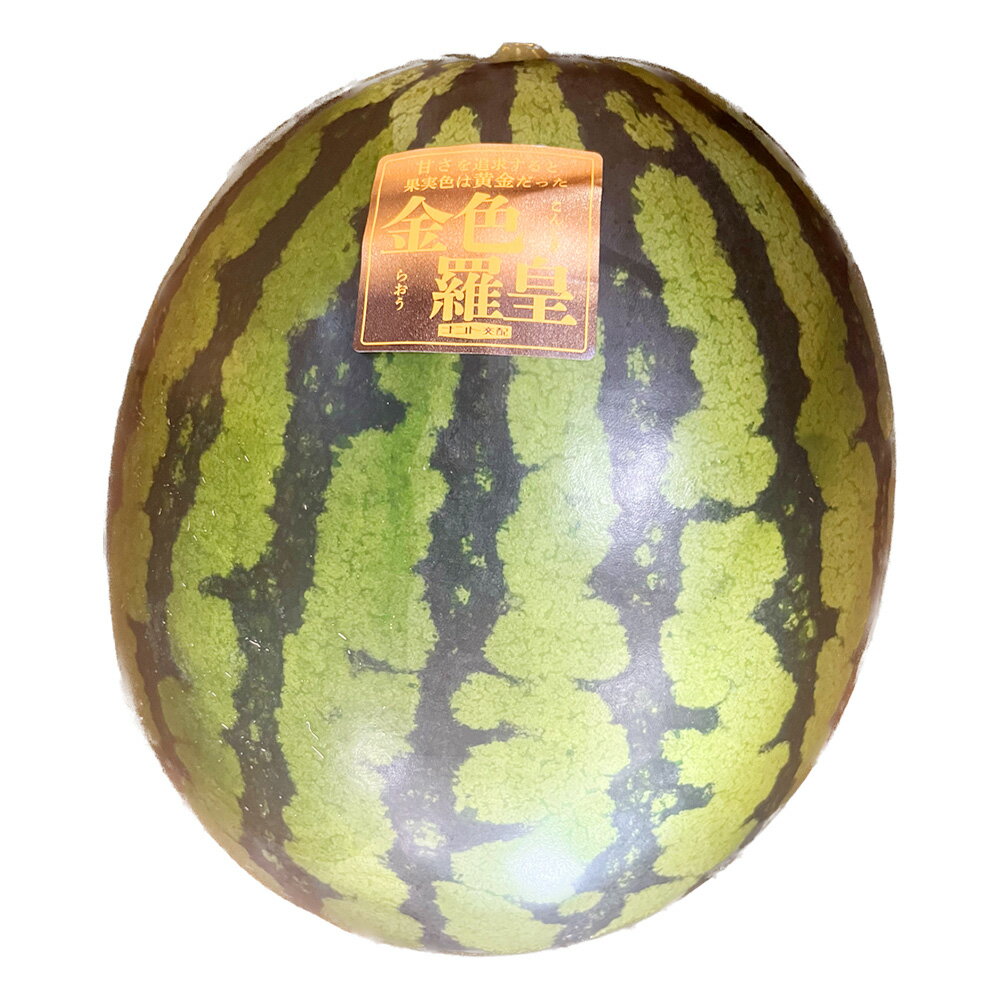 金色羅皇 1玉入り （8kg以上） 西瓜 すいか 果物 くだもの 果実 フルーツ おやつ 先行予約 熊本県産 国産 常温 送料無料 【2026年5月上旬～6月上旬迄順次発送予定】
