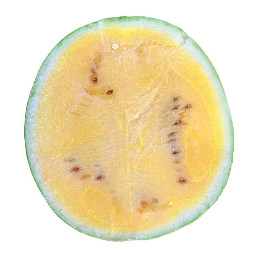 【ふるさと納税】 金色羅皇 1玉入り （8kg以上） 西瓜 すいか 果物 くだもの 果実 フルーツ おやつ 先行予約 熊本県産 国産 常温 送料無料 【2026年5月上旬～6月上旬迄順次発送予定】 サムネイル2