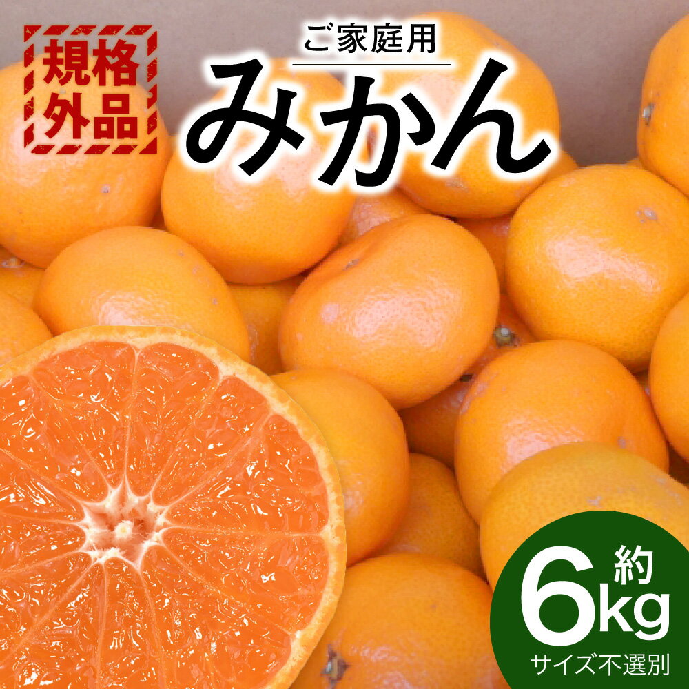 【ふるさと納税】 【規格外品】みかん ご家庭用 約6kg 5000円 サイズ不選別 ミカン 蜜柑 柑橘 果実 フルーツ くだもの 果物 おやつ 熊本県産 国産 冷蔵 先行予約 送料無料 【2025年10月下旬～2026年2月上旬迄発送予定】 サムネイル2