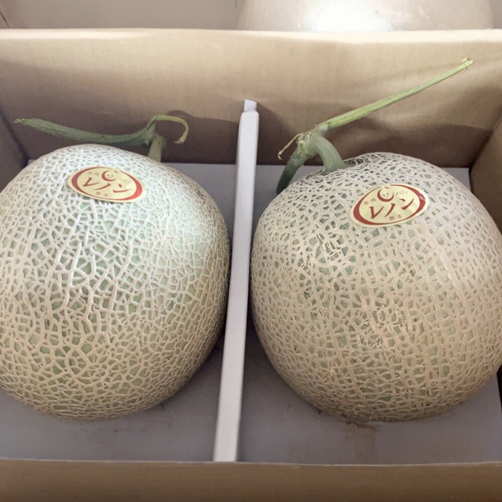 レノン メロン 2玉入り（1玉1.5kg以上）合計3kg以上 赤肉メロン くだもの 果物 フルーツ 果実 果肉 おやつ 熊本県産 国産 送料無料 【2026年4月下旬～5月下旬迄順次発送予定】