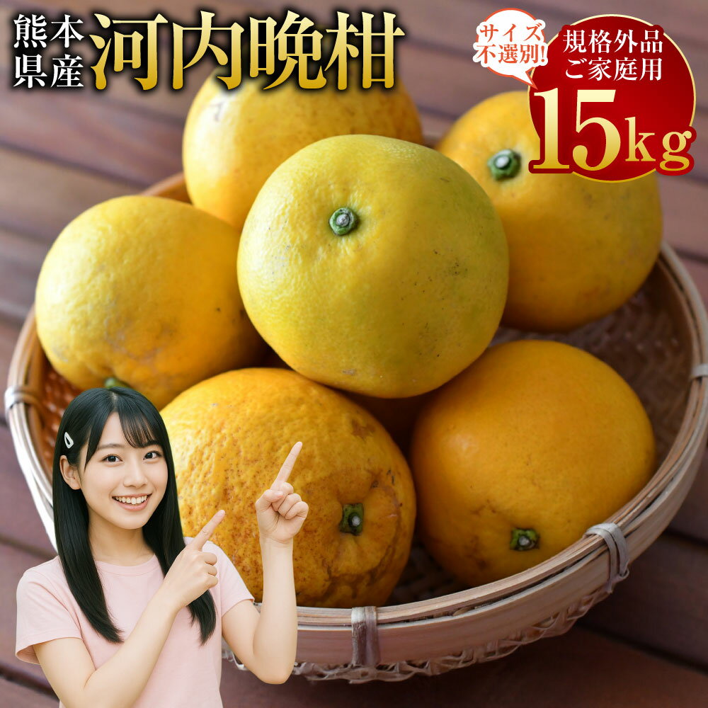 【規格外品】河内晩柑 ご家庭用 15kg 10000円 1万円 サイズ不選別 訳あり 和製グレープフルーツ みかん フルーツ 果物 柑橘 熊本県産 九州産 送料無料 【2026年3月下旬～6月下旬発送予定】