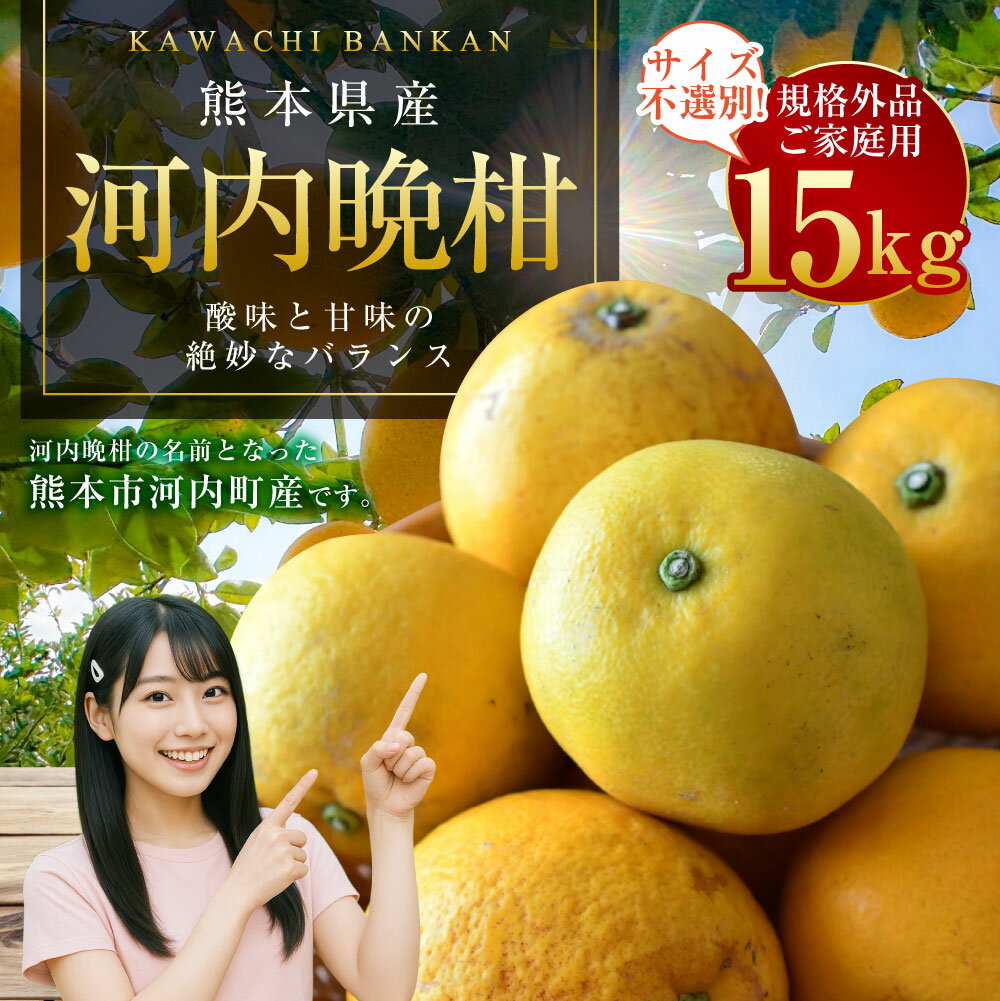 【ふるさと納税】 【規格外品】河内晩柑 ご家庭用 15kg 10000円 1万円 サイズ不選別 訳あり 和製グレープフルーツ みかん フルーツ 果物 柑橘 熊本県産 九州産 送料無料 【2026年3月下旬～6月下旬発送予定】 サムネイル2