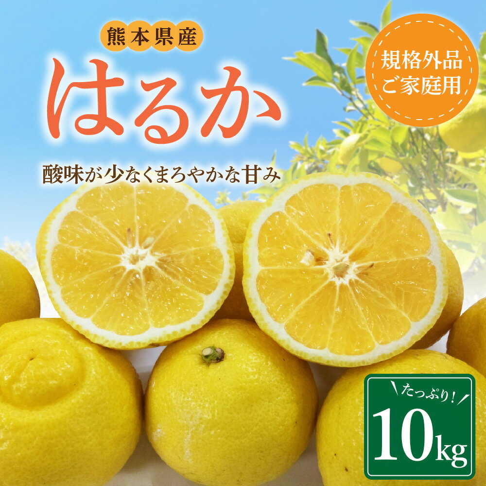 【ふるさと納税】 【規格外品】はるか ご家庭用 10kg 10000円 1万円 サイズ不選別 サラダみかん 訳あり みかん ミカン フルーツ 果物 くだもの 柑橘 熊本県産 九州産 先行予約 送料無料 【2026年2月上旬～3月下旬迄発送予定】 サムネイル2