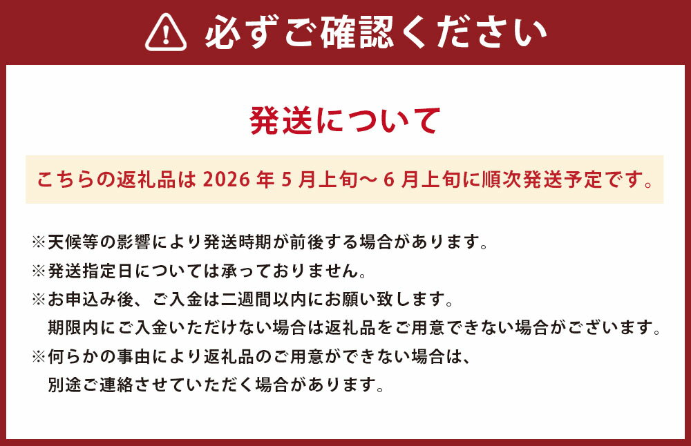 【ふるさと納税】 金色羅皇 1玉入り （8kg以上） 西瓜 すいか 果物 くだもの 果実 フルーツ おやつ 先行予約 熊本県産 国産 常温 送料無料 【2026年5月上旬～6月上旬迄順次発送予定】 サムネイル3