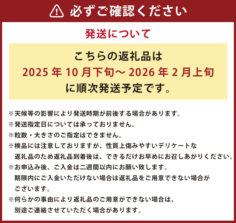 【ふるさと納税】 【規格外品】みかん ご家庭用 約6kg 5000円 サイズ不選別 ミカン 蜜柑 柑橘 果実 フルーツ くだもの 果物 おやつ 熊本県産 国産 冷蔵 先行予約 送料無料 【2025年10月下旬～2026年2月上旬迄発送予定】 サムネイル3