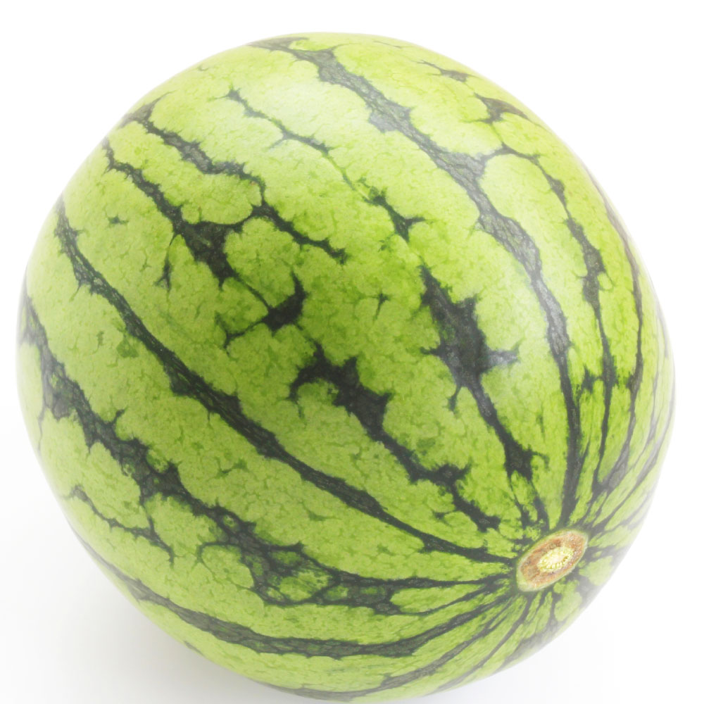 小玉スイカ 2Lサイズ以上 2玉入り スイカ 西瓜 フルーツ 果物 くだもの 果実 おやつ 植木町 熊本県 国産 常温 送料無料 【2026年7月上旬～下旬迄発送予定】