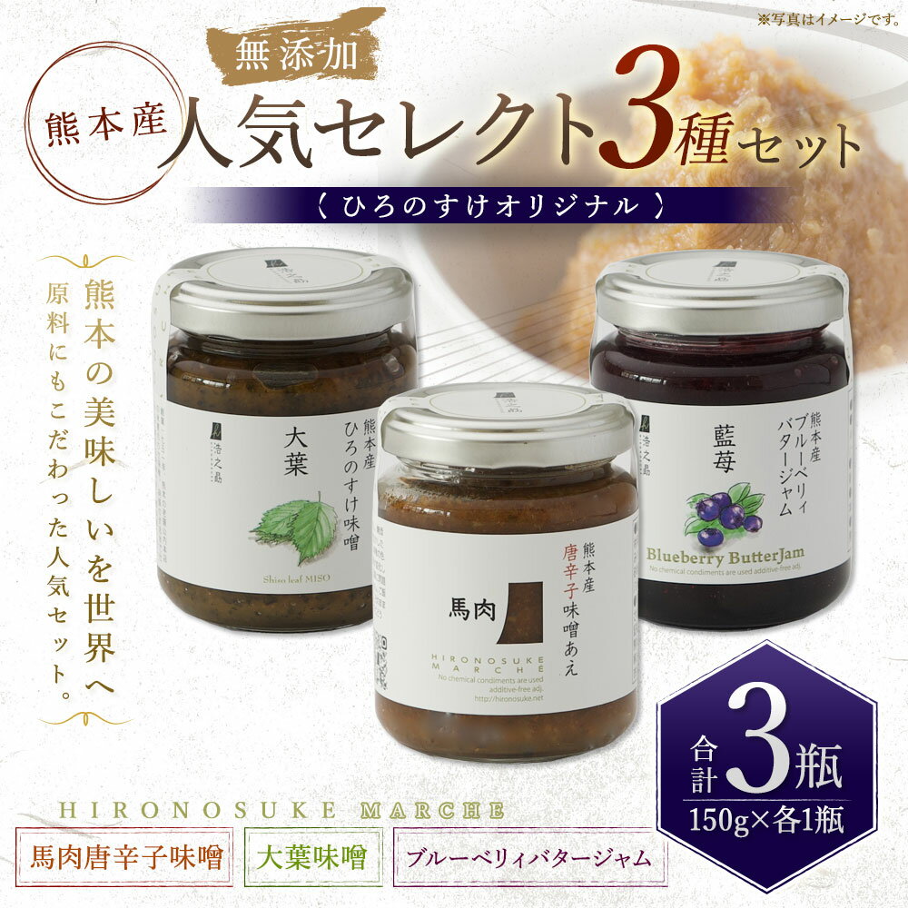 【ふるさと納税】 熊本産ひろのすけオリジナル 人気セレクトセット 馬肉味噌・大葉味噌・ブルーベリィバタージャム 3種 150g×1瓶 各1つずつ 合計3瓶 熊本産 トースト ジャム バター おつまみ 詰め合わせ ご飯のお供 おかず味噌 調味料 送料無料 サムネイル2