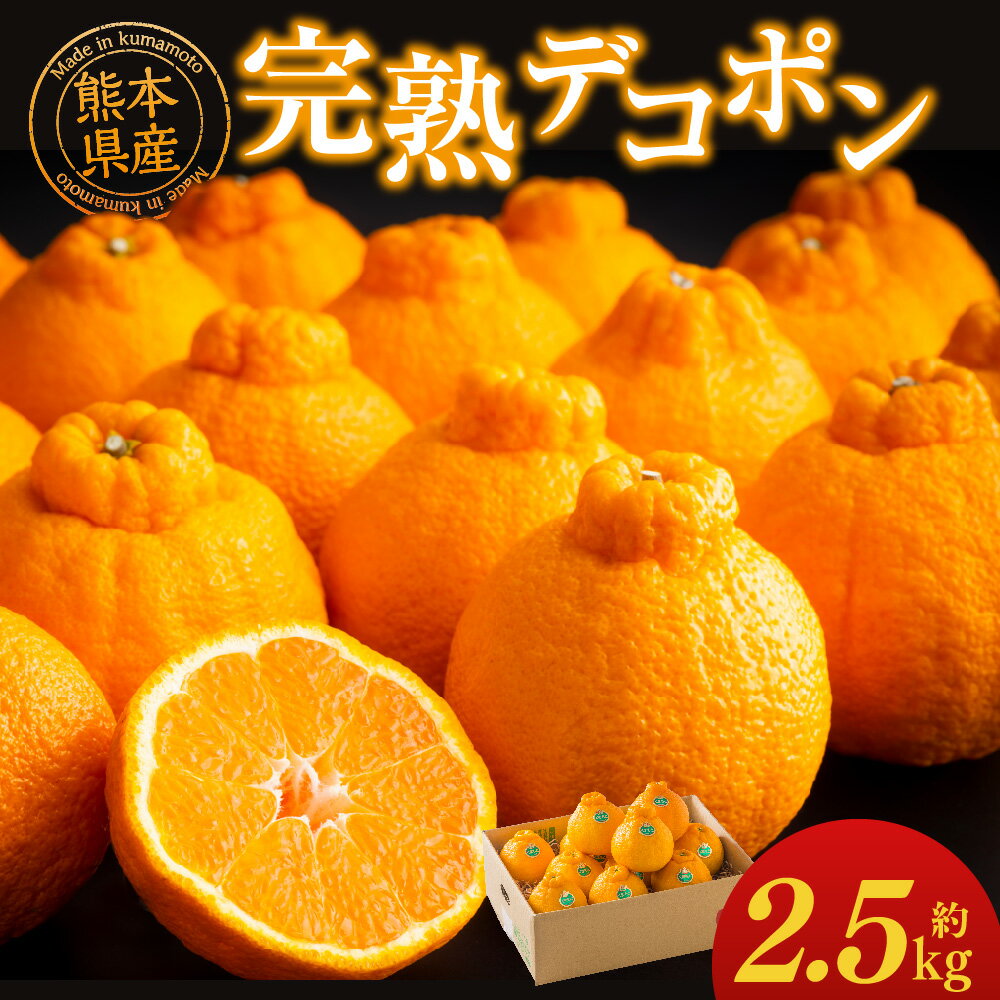 【ふるさと納税】 熊本県産 完熟デコポン 約2.5kg 10〜12玉 1玉あたり約200g～250g デコポン 柑橘類 果物 フルーツ 蜜柑 国産 九州 熊本県 常温保存可 送料無料 【2026年3月上旬～3月下旬発送予定】 サムネイル2