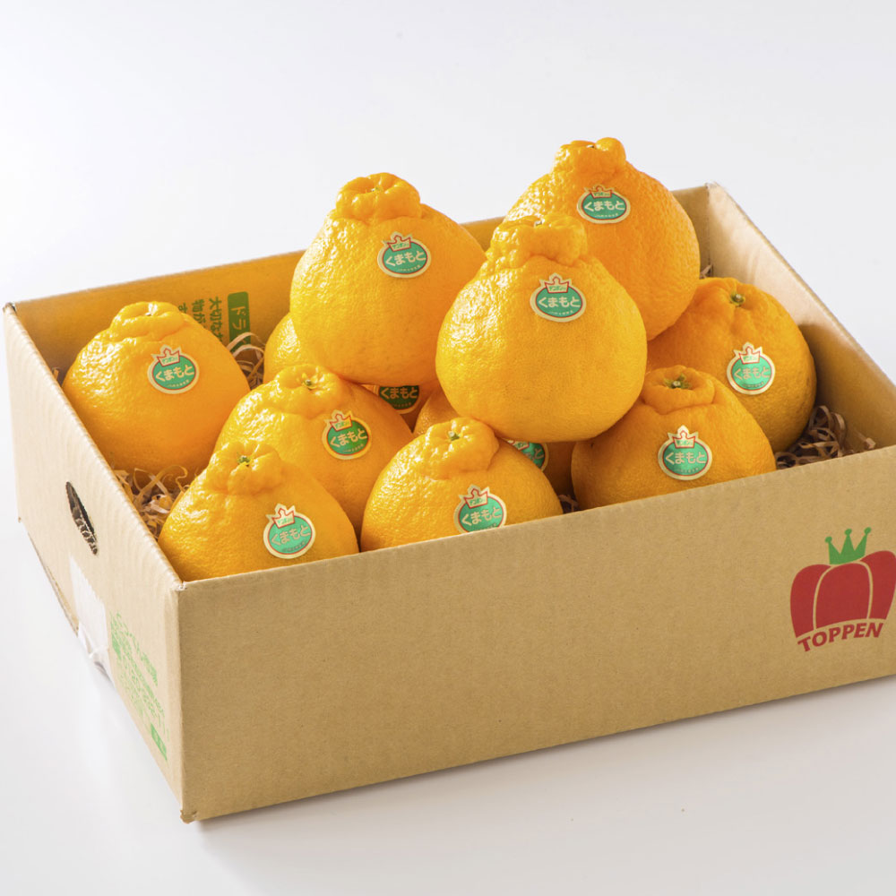 【ふるさと納税】 熊本県産 完熟デコポン 約2.5kg 10〜12玉 1玉あたり約200g～250g デコポン 柑橘類 果物 フルーツ 蜜柑 国産 九州 熊本県 常温保存可 送料無料 【2026年3月上旬～3月下旬発送予定】 サムネイル3