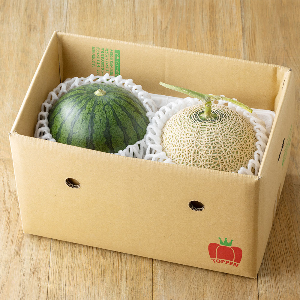 【ふるさと納税】 小玉スイカ ひとりじめ 黒小玉 ピノガール 1.5kg以上 肥後グリーンメロン 1.6kg以上 2玉セット 合計3.1kg以上 すいか メロン 果物 フルーツ 国産 九州産 熊本県産 熊本市産 送料無料 【2026年6月上旬～6月下旬迄順次発送予定】 サムネイル3