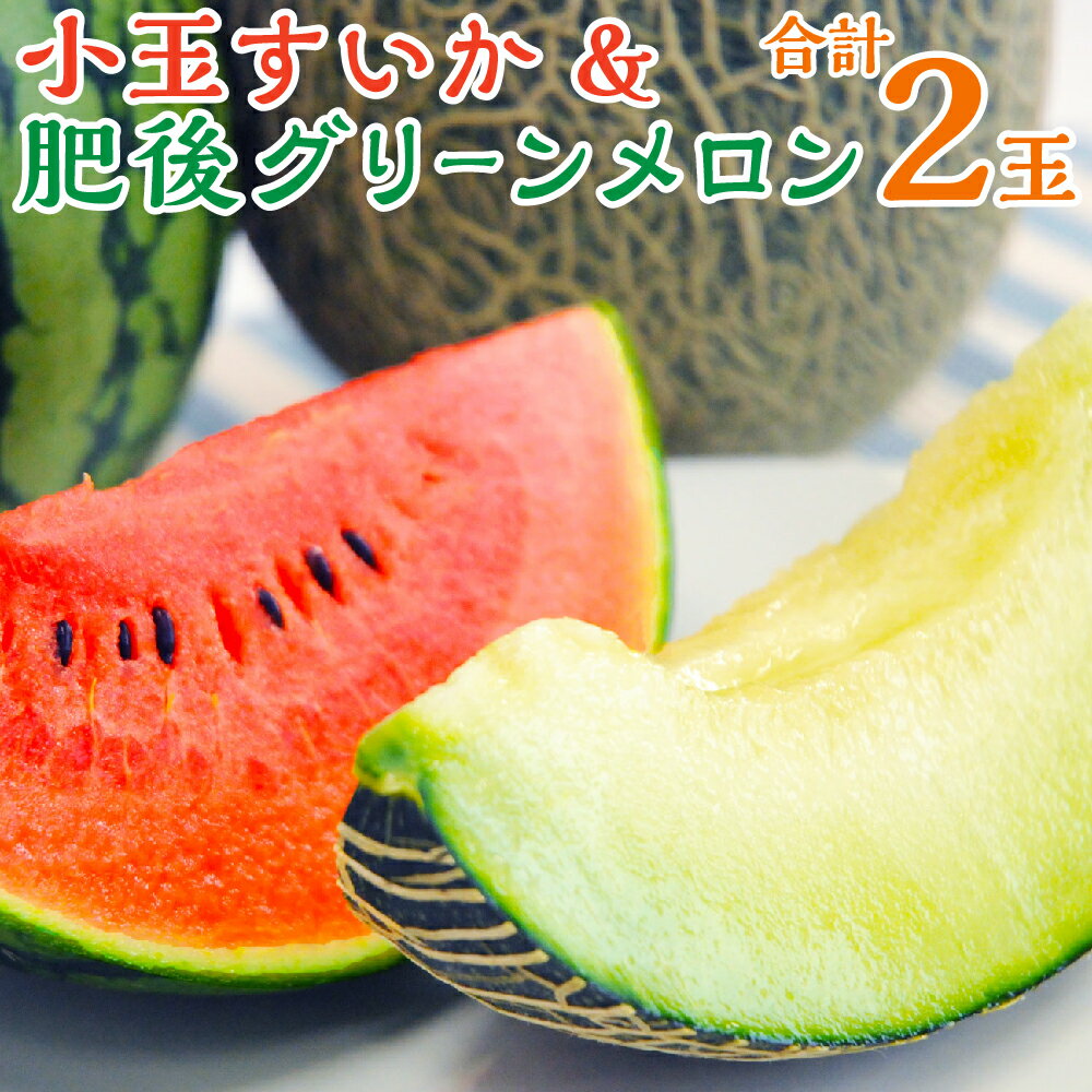 小玉スイカ ひとりじめ 黒小玉 ピノガール 1.5kg以上 肥後グリーンメロン 1.6kg以上 2玉セット 合計3.1kg以上 すいか メロン 果物 フルーツ 国産 九州産 熊本県産 熊本市産 送料無料 【2026年6月上旬～6月下旬迄順次発送予定】