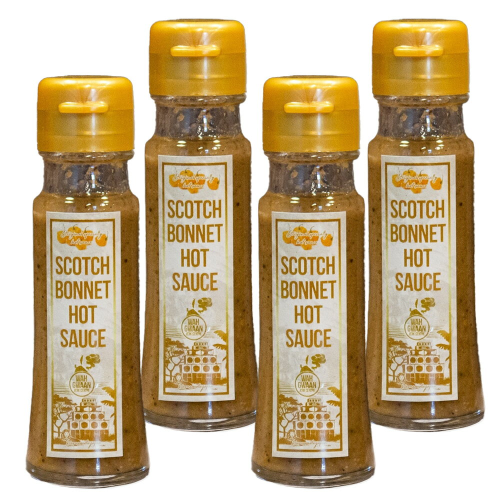 ホットソース Bセット スコッチボネットホットソース 50ml×4本 熊本市 植木 調味料 ホットソース ソース ジャマイカ料理 ジャークチキン 唐辛子 料理 送料無料