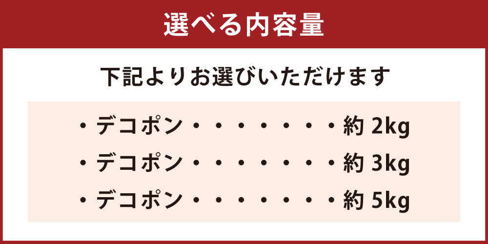 【ふるさと納税】＜選べる容量＞ デコポン 約2kg / 約3kg / 約5kg でこぽん 柑橘 ブランド柑橘 不知火 しらぬい みかん フルーツ 果物 くだもの 厳選 常温 熊本県産 熊本県 熊本市 送料無料 【2026年1月下旬～2月下旬迄順次発送予定】 サムネイル2