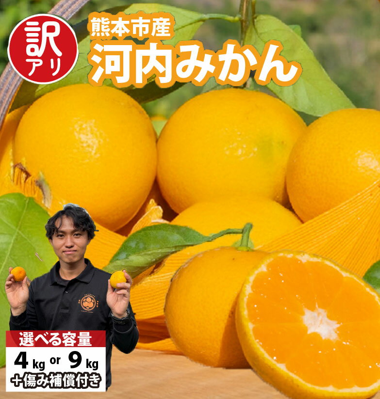 【訳アリ】「河内みかん堂」のみかん 選べる容量 4kg または 9kg 傷み補償付き（約5玉） みかん 極早生 早生 中生 普通早生 訳あり 家庭用 柑橘 果実 果物 くだもの 熊本県産 国産 送料無料 【2025年10月上旬～12月下旬発送予定】