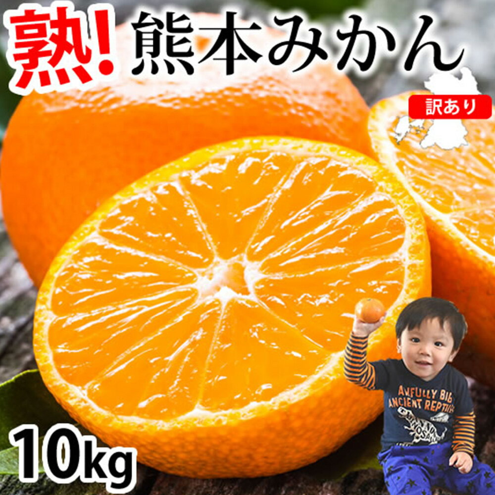 訳あり みかん 10kg ご自宅用 サイズ不選別 蜜柑 柑橘 果物 くだもの フルーツ 果実 おやつ 露地栽培 熊本市 国産 冷蔵 送料無料【2025年10月上旬～2026年3月上旬迄発送予定】
